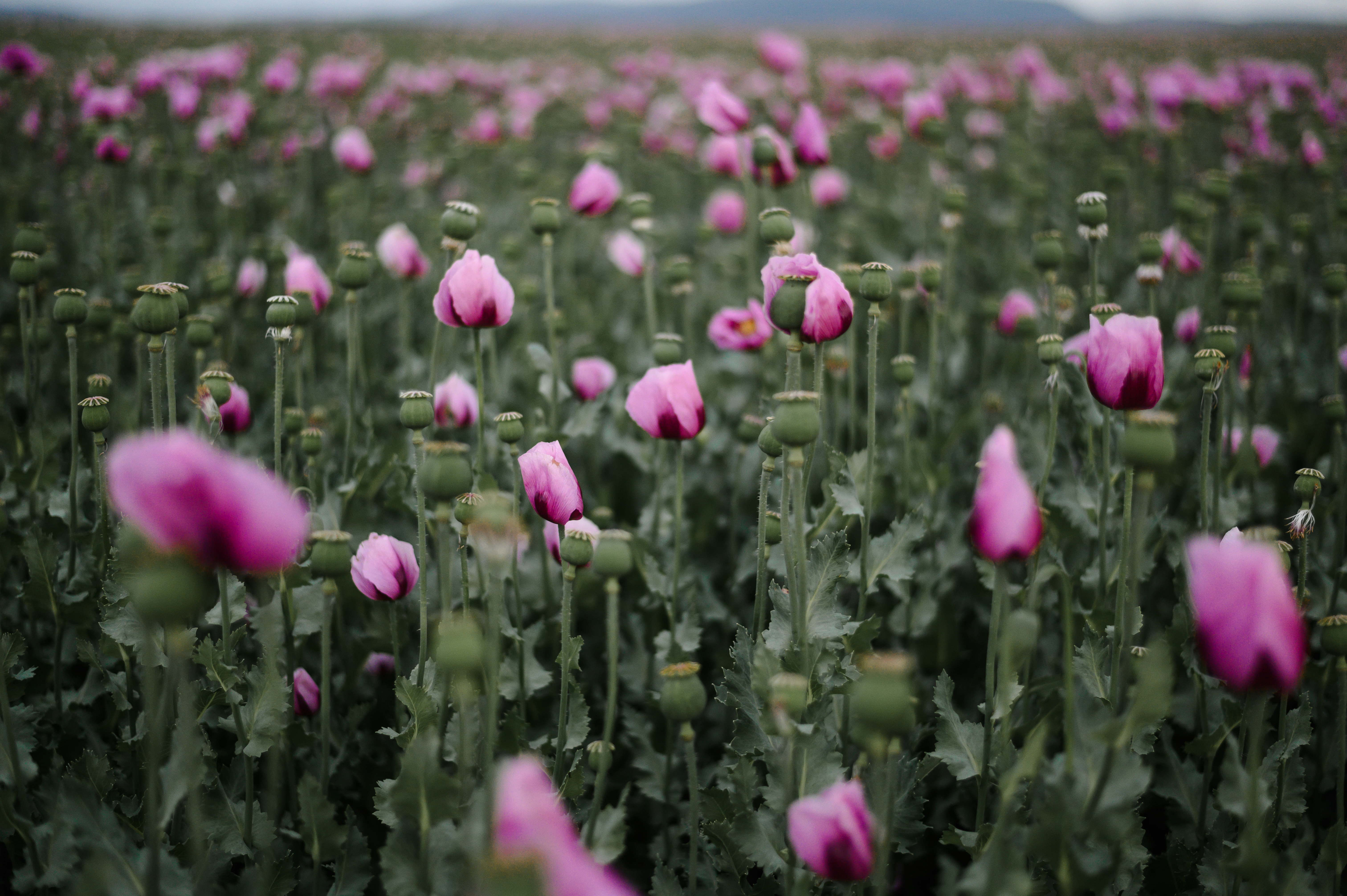 Reiki in Karlsruhe & Pfinztal – ruhige Atmosphäre